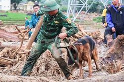 Thi thể một nạn nhân lũ quét ở Lai Châu được tìm thấy cách hiện trường gần 20 km