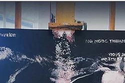 'Vẻ đẹp của kẻ chán chường' - vẻ đẹp của sự sống mong manh