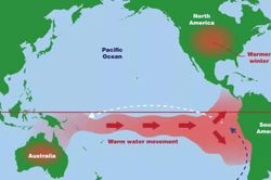 Malaysia cảnh b&aacute;o El Nino si&ecirc;u mạnh g&acirc;y nắng n&oacute;ng kỷ lục