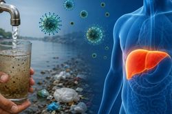 Nước ô nhiễm làm tăng nguy cơ mắc viêm gan A và E như thế nào, cách phòng ngừa?