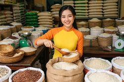 Giá lúa gạo hôm nay 21.7.2026: Lúa ổn định, giao dịch chậm