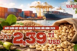 Xuất khẩu hạt điều Việt Nam 6 tháng đầu năm 2026 đạt 2,39 tỉ USD