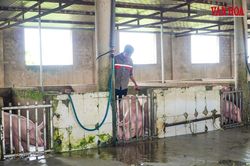 Vụ 37 lao động 6 tháng không lương:27 cơ sở giết mổ ở Hà Tĩnh không đủ điều kiện an toàn thực phẩm