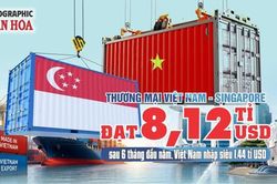 Thương mại Việt Nam - Singapore đạt 8,12 tỉ USD sau 6 tháng đầu năm, nhập siêu 1,44 tỉ USD