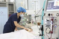 Bé trai 15 tháng tuổi suy đa tạng, sốc nhiễm độc vì 60 vết ong vò vẽ đốt
