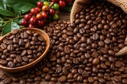 THỊ TRƯỜNG HÀNG HÓA: Tồn kho Arabica rơi xuống sát đáy lịch sử, giá cà phê đi lên