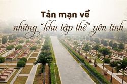 Tản mạn về những 'khu tập thể yên tĩnh'