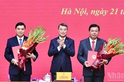 Công bố quyết định của Thủ tướng Chính phủ về công tác cán bộ