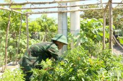 Tích cực tăng gia, bảo đảm tốt đời sống bộ đội