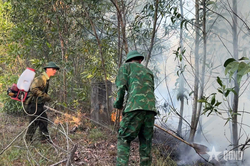 Bộ đội Biên phòng TP Huế phối hợp khống chế cháy rừng tại xã Chân Mây - Lăng Cô
