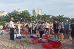 Sơn Trà tăng cường chấn chỉnh trật tự đô thị và vệ sinh môi trường