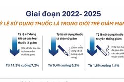 Kinh nghiệm quốc tế trong việc kiểm soát sản phẩm nicotine mới