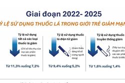 Kinh nghiệm quốc tế trong việc kiểm soát sản phẩm nicotine mới