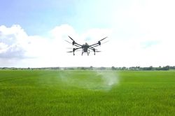 Khi nông dân điều khiển mùa vụ bằng điện thoại