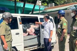 Phát hiện 800kg thịt heo bốc mùi hôi thối đang được vận chuyển trên xe ô tô