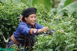 Không gian lưu giữ ký ức cộng đồng của người Cờ Lao