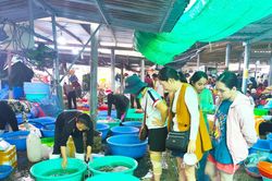 TP Hồ Chí Minh tăng cường kiểm tra an toàn thực phẩm