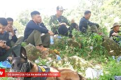 Hơn 100 người tìm cháu trai khuyết tật mất tích nhiều ngày