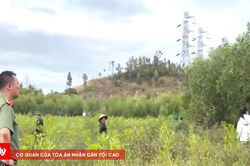 Hàng trăm người tìm kiếm người đàn ông mất tích bí ẩn