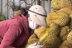Đẩy mạnh truyền thông đa phương tiện về đổi mới sáng tạo, khởi nghiệp sáng tạo