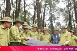 Giữ rừng phía nam Hà Tĩnh trong mùa nắng nóng