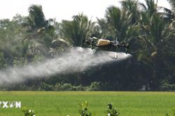 Việt Nam là điểm đến tiềm năng trong chiến lược của doanh nghiệp Trung Quốc