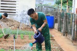 Quảng Ngãi: Mảng xanh hậu cần của bộ đội biên phòng trên đảo Lý Sơn
