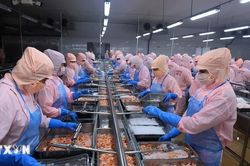 GDP Việt Nam có thể đạt hai con số nhờ động lực tăng trưởng bền vững