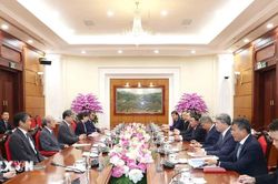 Thường trực Ban B&iacute; thư hội đ&agrave;m với Quyền Tổng Thư k&yacute; Đảng D&acirc;n chủ Tự do Nhật Bản