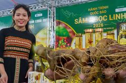 Rộn rã đêm hội Sâm Ngọc Linh: Trải nghiệm văn hóa đại ngàn giữa lòng Đà Nẵng