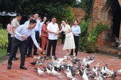 Bước nhảy vọt đưa du lịch thống trị thị trường