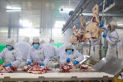 Siết kiểm soát dịch bệnh, an toàn thực phẩm từ chuỗi chăn nuôi