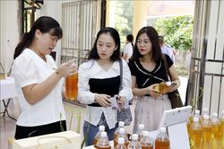 Gây dựng thương hiệu mật ong từ cánh rừng ngập mặn