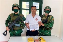 Triệt phá chuyên án ma túy lớn, thu giữ hơn 15.000 viên ma túy tổng hợp