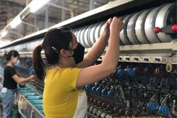 Dòng điện góp phần nâng tầm giá trị nông sản OCOP