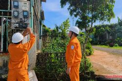 PC Gia Lai tăng trưởng toàn diện trong 6 tháng đầu năm 2026