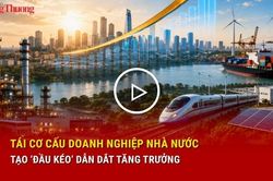 Tái cơ cấu doanh nghiệp nhà nước, tạo 'đầu kéo' dẫn dắt tăng trưởng