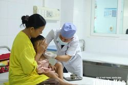 Cảnh b&aacute;o tai nạn ch&oacute; cắn ở trẻ nhỏ