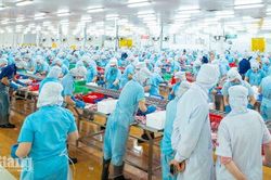 Khu công nghiệp bước vào chu kỳ phát triển mới