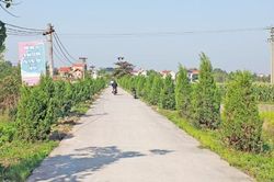 Bắc Ninh: Cải thiện ti&ecirc;u ch&iacute; m&ocirc;i trường trong x&acirc;y dựng n&ocirc;ng th&ocirc;n mới