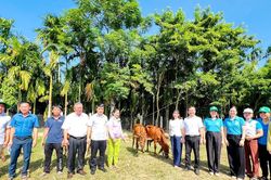 Xã Đại Lộc trao tặng 15 con bò sinh sản cho hộ khó khăn