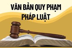 Kiểm tra, rà soát văn bản quy phạm pháp luật