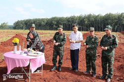 Phó Chủ tịch UBND thành phố Nguyễn Thị Hoàng khảo sát khu vực dự kiến làm lễ triển khai tìm kiếm hài cốt liệt sĩ