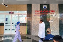 Hai bệnh nhi vụ cháy xe khách đang được điều trị tích cực tại Bệnh viện Nhi đồng 1