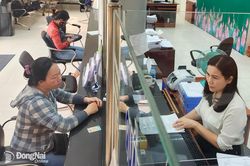 Doanh số cho vay chương trình tín dụng hỗ trợ tạo việc làm tại Đồng Nai đạt hơn 1,3 ngàn tỷ đồng