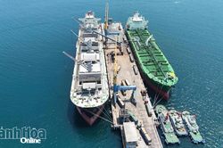 Tăng cường bảo vệ môi trường, thúc đẩy phát triển hoạt động logistics xanh