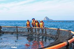 Thành lập các tổ hỗ trợ thực hiện nông thôn mới trong trong lĩnh vực thủy sản