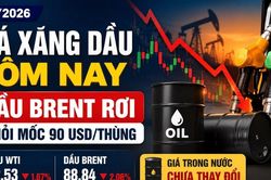 Giá xăng dầu hôm nay 21/7: Dầu thế giới quay đầu giảm