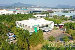 Mạch ngầm ngàn năm và khát vọng toàn cầu - Kỳ 3: Khát vọng Đất Tổ - Hội nhập và vươn mình