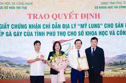Công bố Chỉ dẫn địa lý 'Mỹ Lung' cho sản phẩm nếp Gà gáy Phú Thọ
